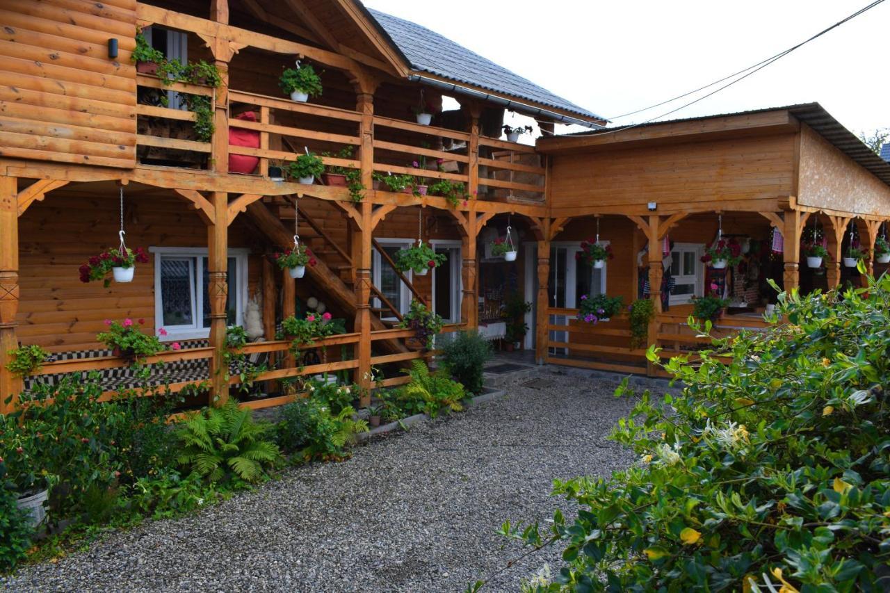 Casa Vladicu 호텔 Breb 외부 사진