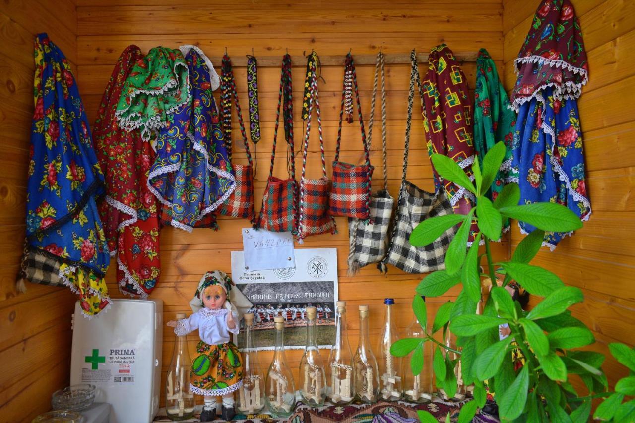 Casa Vladicu 호텔 Breb 외부 사진