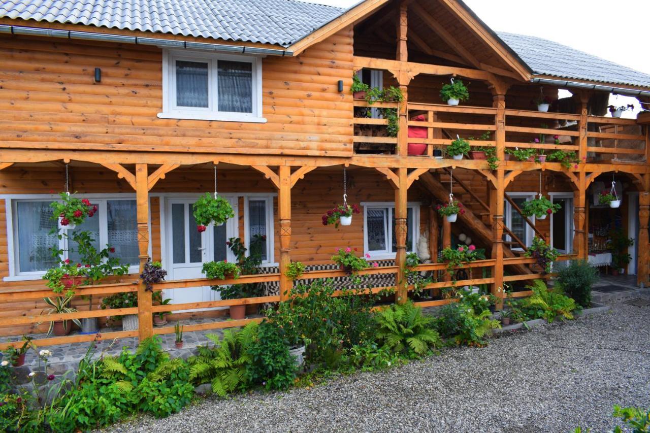 Casa Vladicu 호텔 Breb 외부 사진