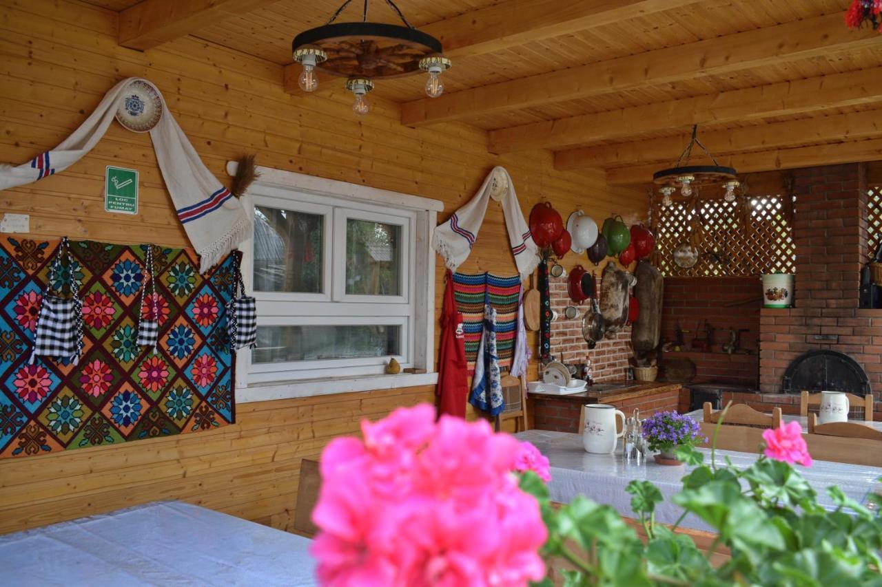 Casa Vladicu 호텔 Breb 외부 사진