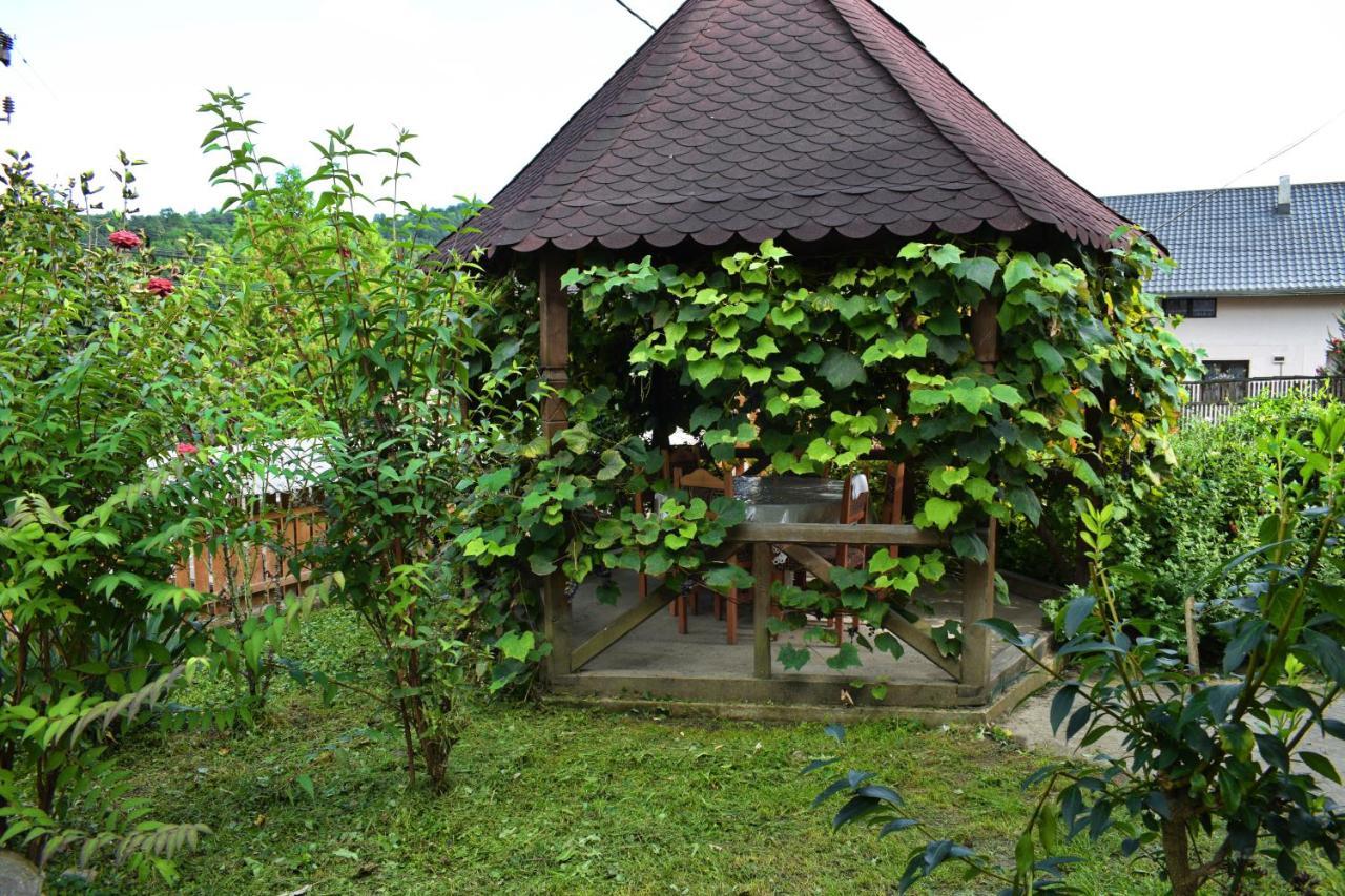 Casa Vladicu 호텔 Breb 외부 사진